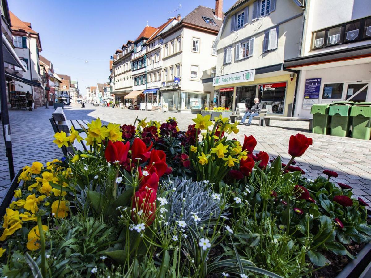 Ferienwohnung Innenstadt Oberkirch  Eksteriør billede